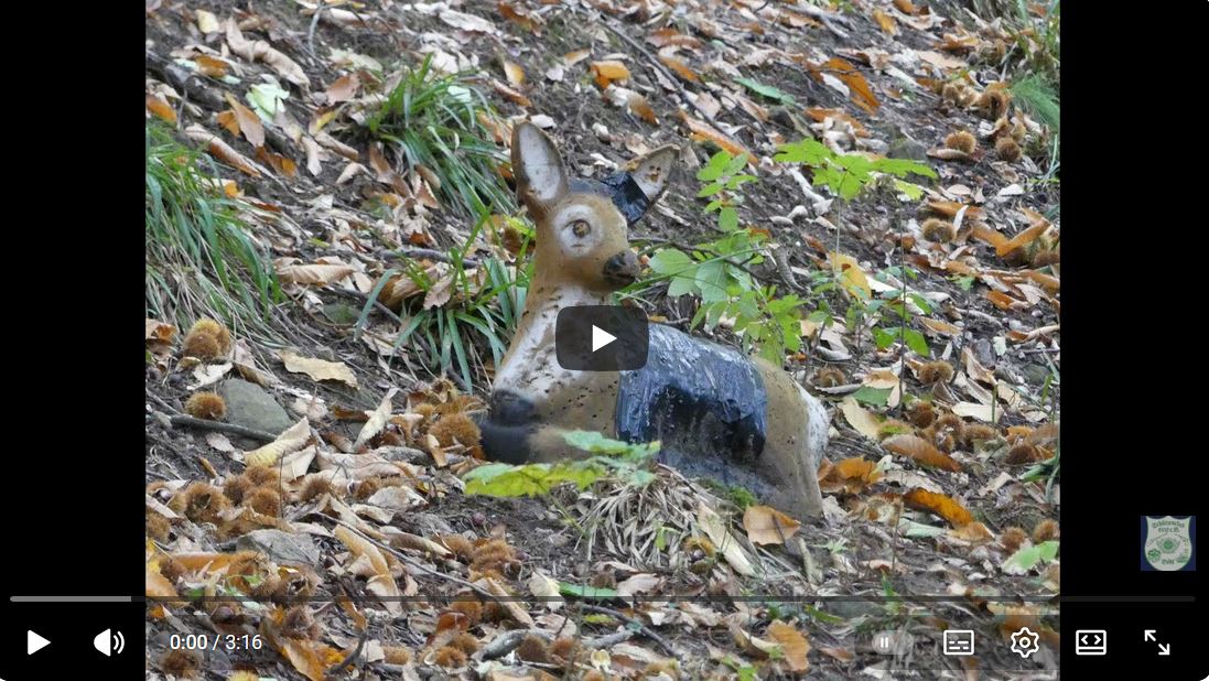 topographie sc boehl Youtube thumb